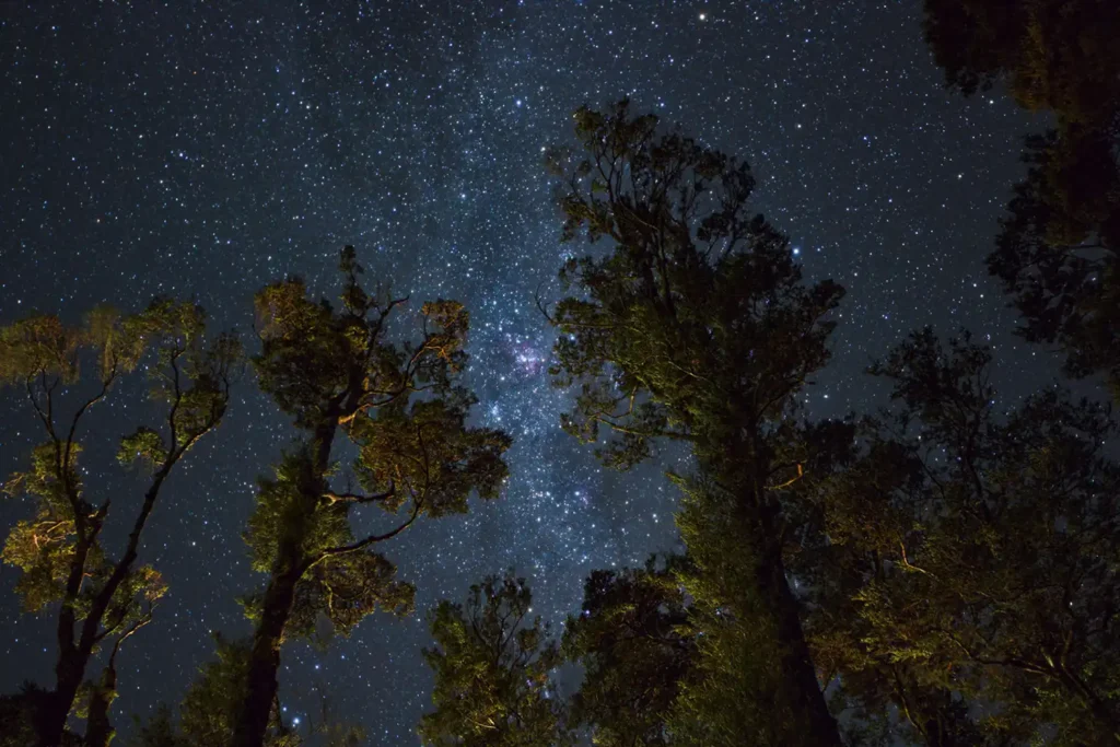 Australasian Dark Sky Alliance - The Optimal Colour for Outdoor Lighting at Night