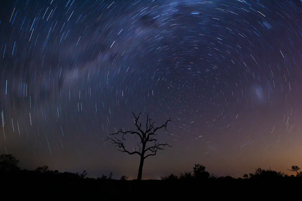 Australasian Dark Sky Alliance - Dark Sky Festival - Trademark