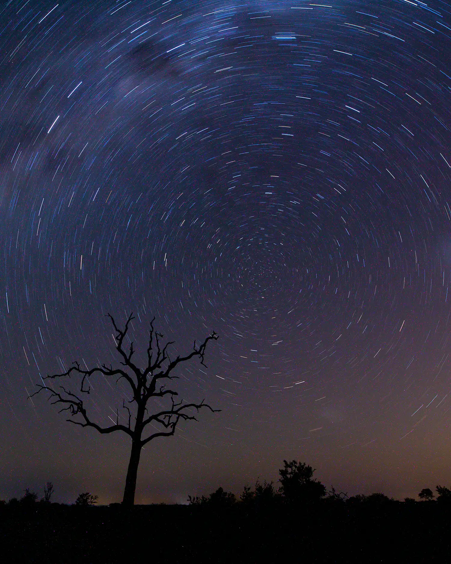 Australasian Dark Sky Alliance - Why Darkness Matters - For our connection to the universe