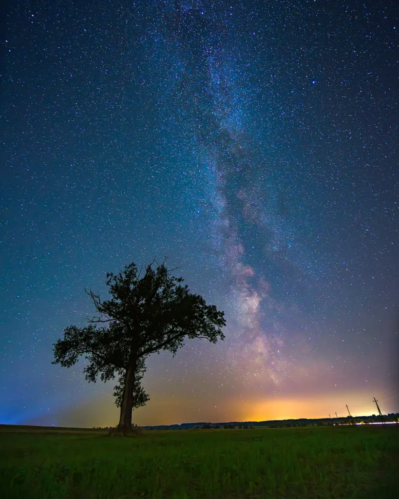 Australasian Dark Sky Alliance - What is Light Pollution