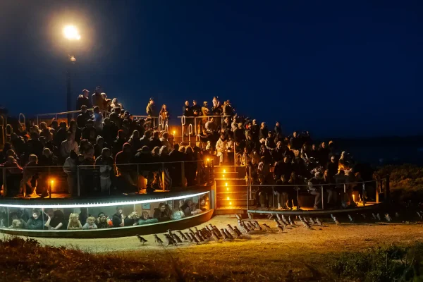 ADSA-approved-lighting Australasian Dark Sky Alliance - ADSA Approved Lighting