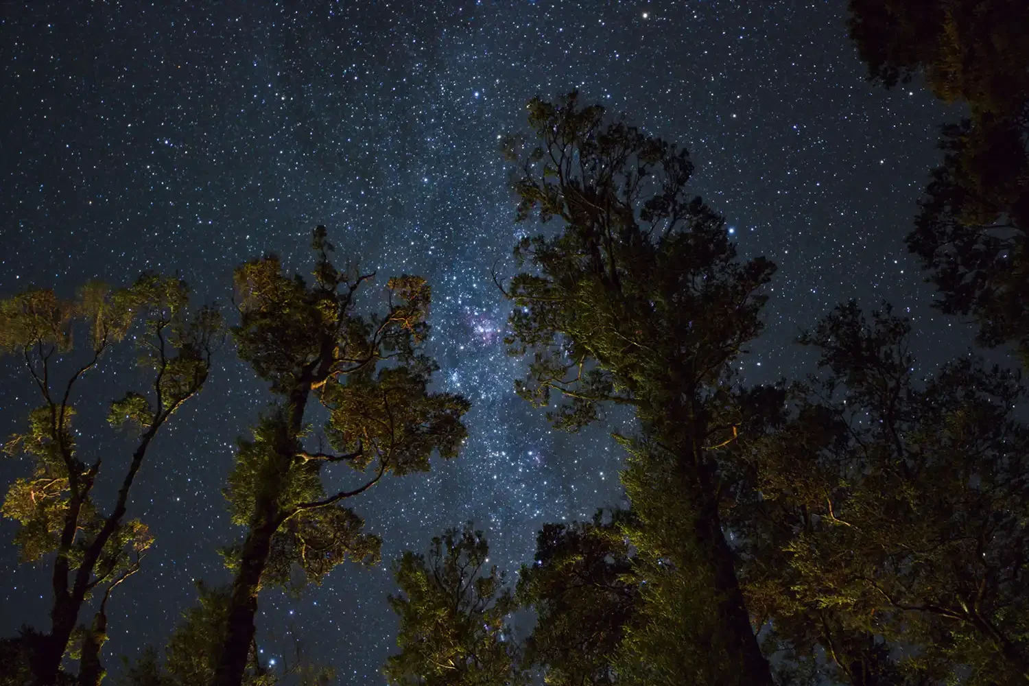 optimal-colour-for-outdoor-lighting Australasian Dark Sky Alliance - The Optimal Colour for Outdoor Lighting at Night