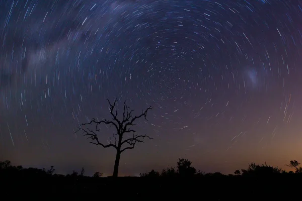 why-darkness-matters Australasian Dark Sky Alliance - Why Darkness Matters